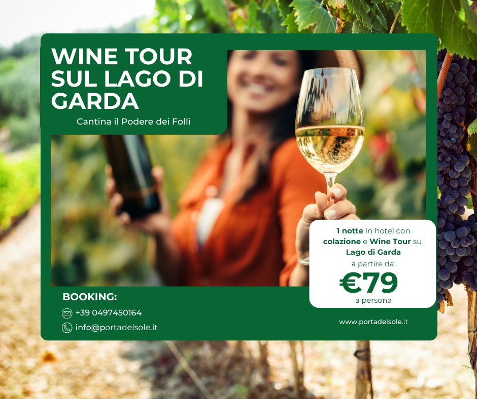 Wine Tour in cantina sul Lago di Garda