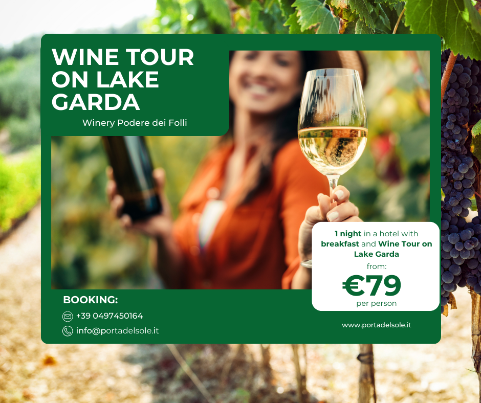 Wine Tour on Lake Garda